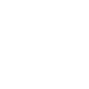 Uengage Flash Icon White
